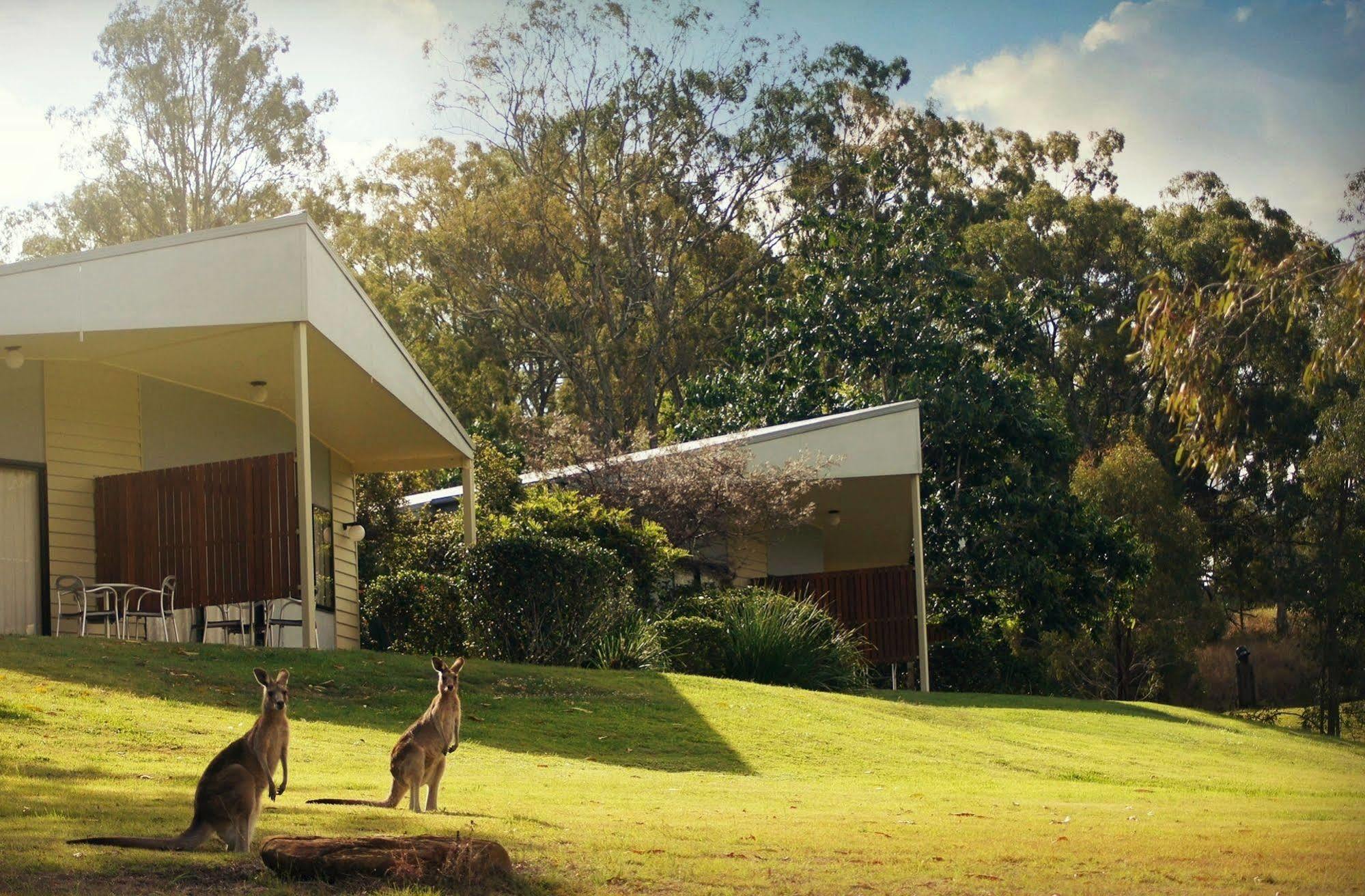 Boonah Valley Motel Exterior photo